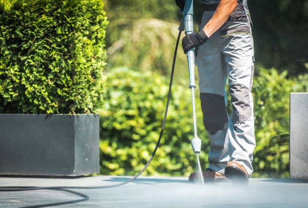 Best Soft Washing  in Meridianville, AL