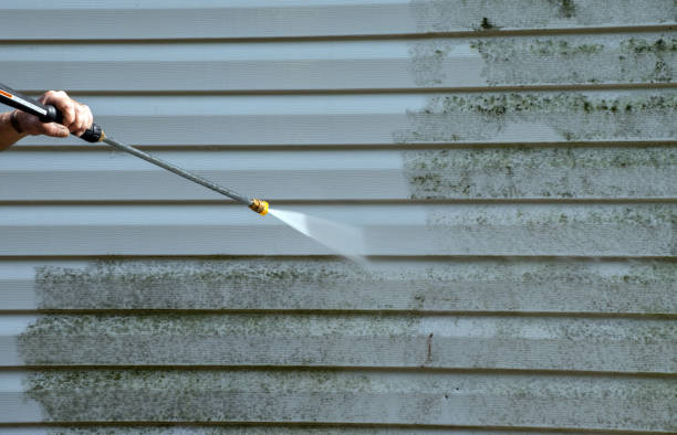 Best Patio and Deck Pressure Washing  in Meridianville, AL