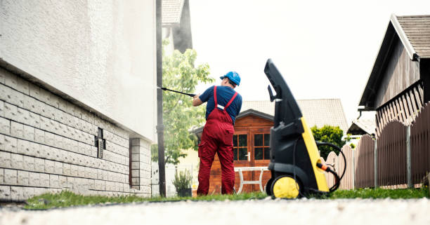 Best Roof Washing  in Meridianville, AL